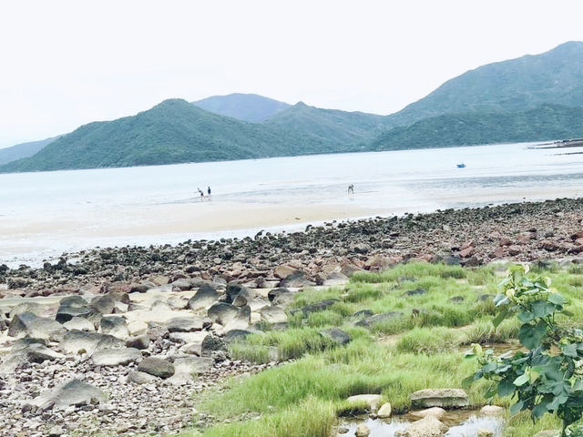 泥涌失望之旅