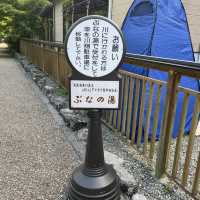 【神奈川県】川で遊べる中川温泉ぶなの湯