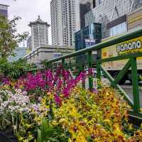 Singapore Garden Festival 2022 @NgeeAnnCity