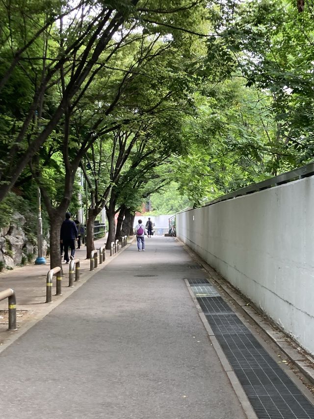 서울 장미 명소, 보라매공원으로 오세요!