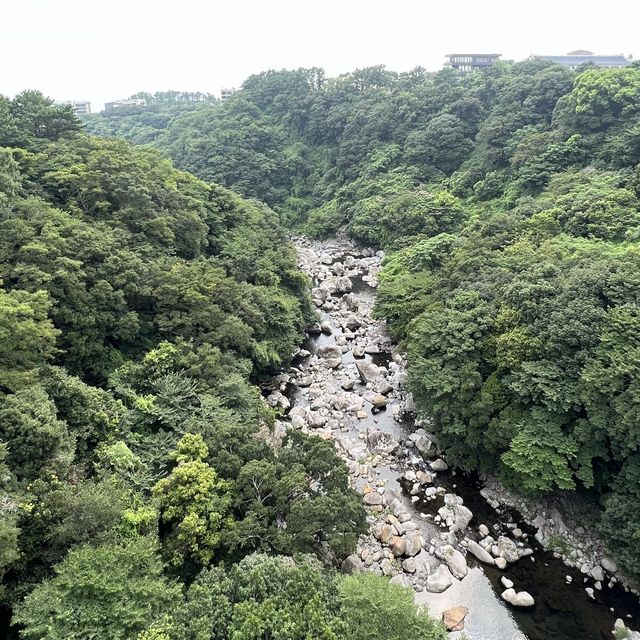 Take pictures with iconic bridges at Jeju 