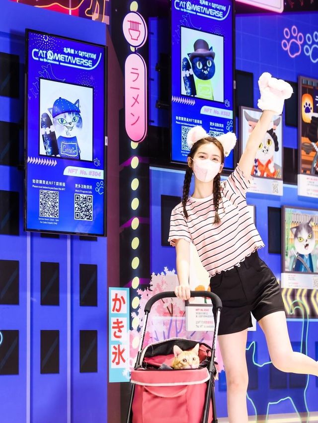 全港首個喵咪主題NFT藝術館