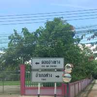 ม่อนสน ดอยอ่างขาง จ.เชียงใหม่