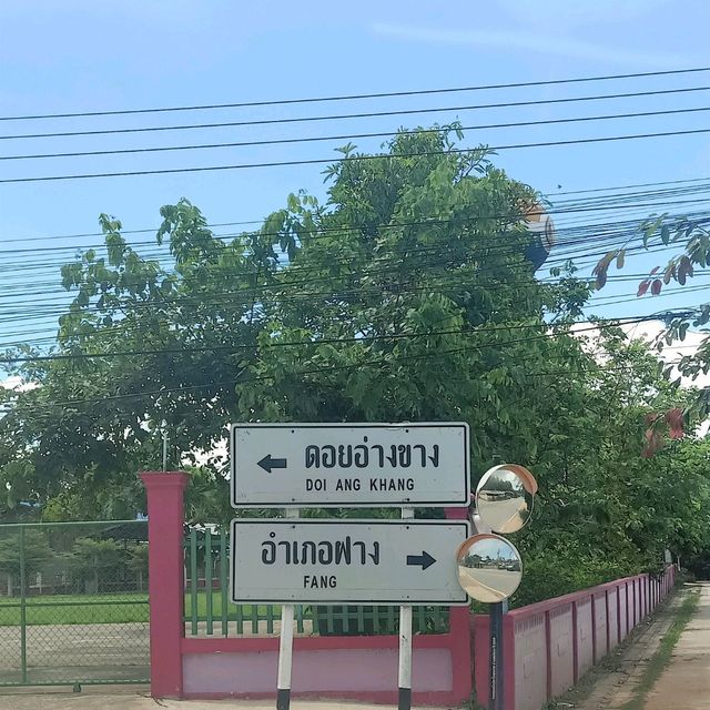 ม่อนสน ดอยอ่างขาง จ.เชียงใหม่
