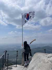 [서울]서울에서 가장 높은 곳에서 피크닉하기❣️