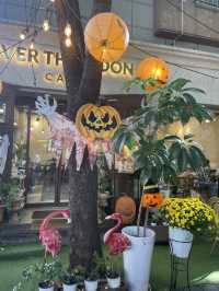 할로윈데이:: 보정동 카페거리 추천🎃