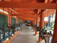 Kasugataisha ศาลเจ้าคะซุงะ