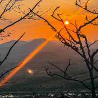 ป่าดงนาทาม