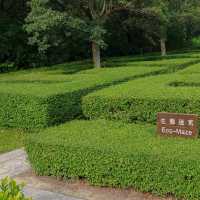 👣We we 娃嘩@Wetland 濕地公園遊🐊