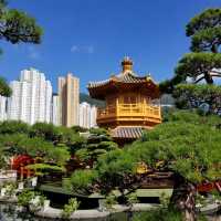 過完馬路 馬上令你 回到大自然  甚至乎好似去咗日本