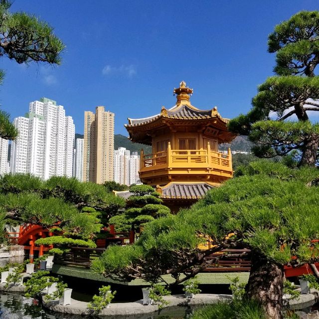 過完馬路 馬上令你 回到大自然  甚至乎好似去咗日本