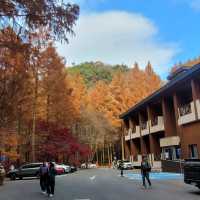 Place to visit in South Korea