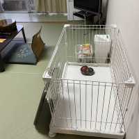 【兵庫県】ペットと泊まり蟹が食べれるお宿へ！〜施設編〜