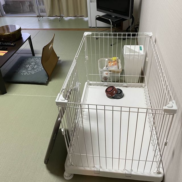 【兵庫県】ペットと泊まり蟹が食べれるお宿へ！〜施設編〜