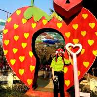 Love Strawberry Pai