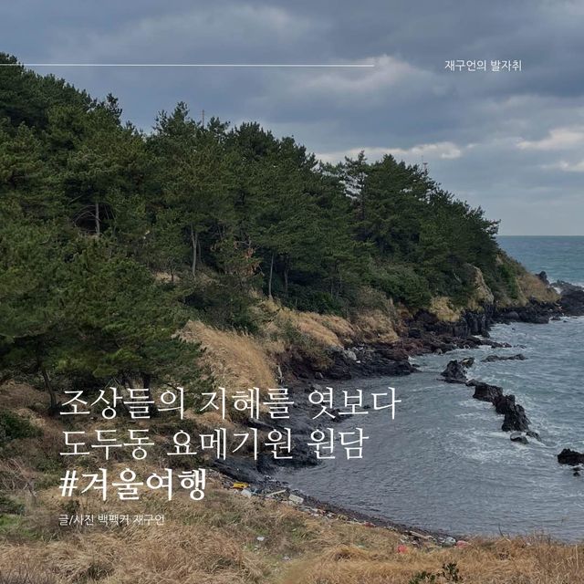 옛 조상들의 지혜를 엿볼 수 있는 원담🐟