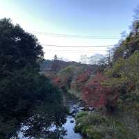 鋪天蓋地的絕美紅葉 – 八瀨紅葉小徑