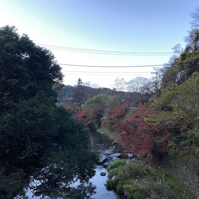 鋪天蓋地的絕美紅葉 – 八瀨紅葉小徑