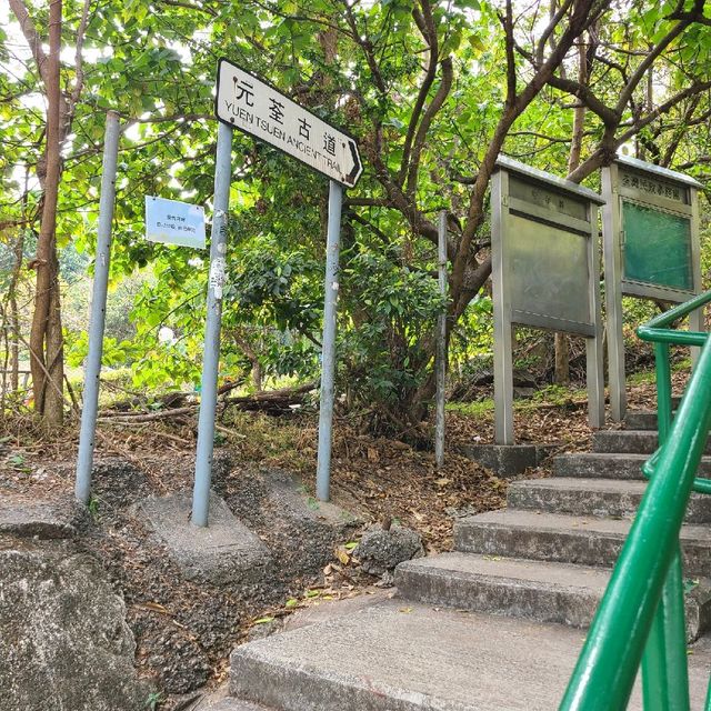 新春行大運