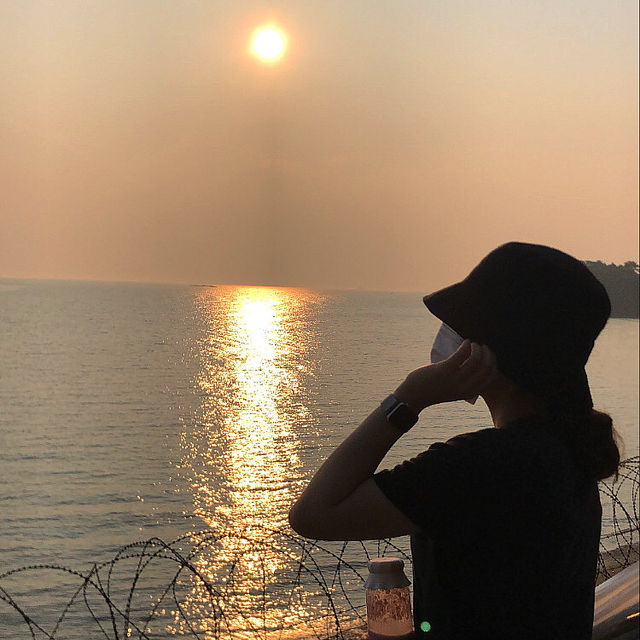 궁평항에 야자수 카페가 ?! 🌴