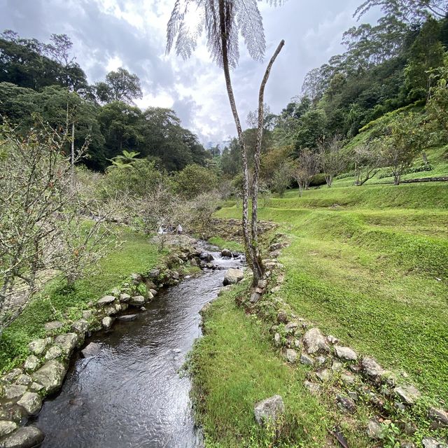 Cibodas Botanical Garden