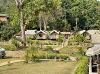 ตาดร้อยครัว ຕາດຮ້ອຍຄົວ Green Jungle Park