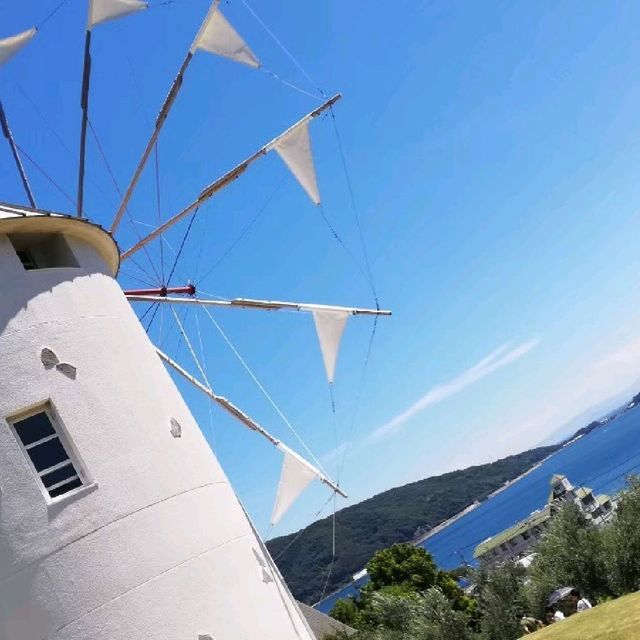 [小豆島]日本のオリーブ発祥の地✨小豆島の「オリーブ公園」
