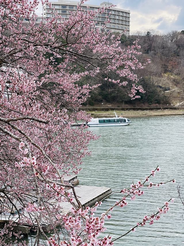 恵那峡でお花見
