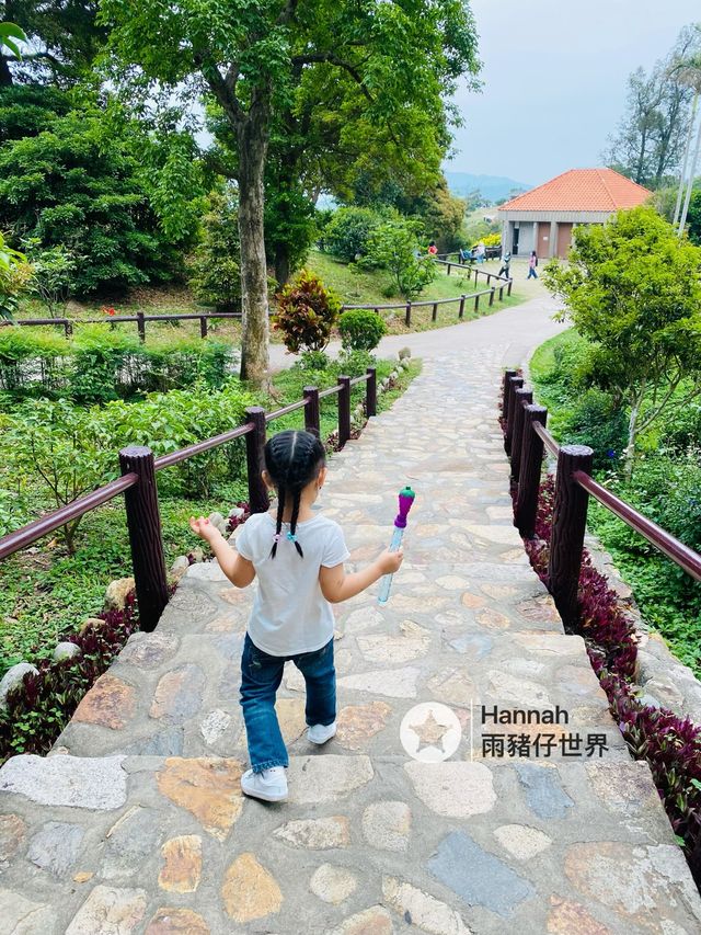 海鮮+放風箏