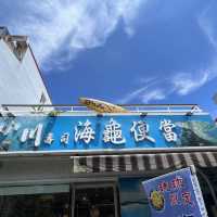 在小琉球每天都被海龜🐢包圍好開心🥳