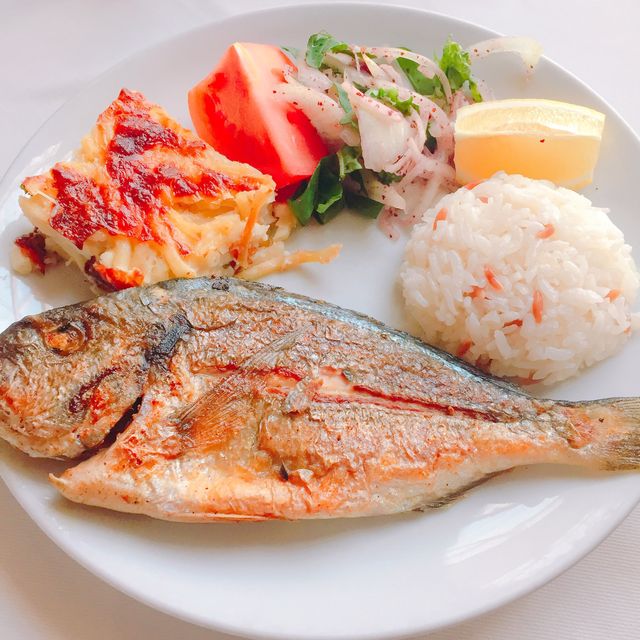 【土耳其 伊斯坦堡】自助海鷗餵食秀！渡輪橫越達達尼爾！
