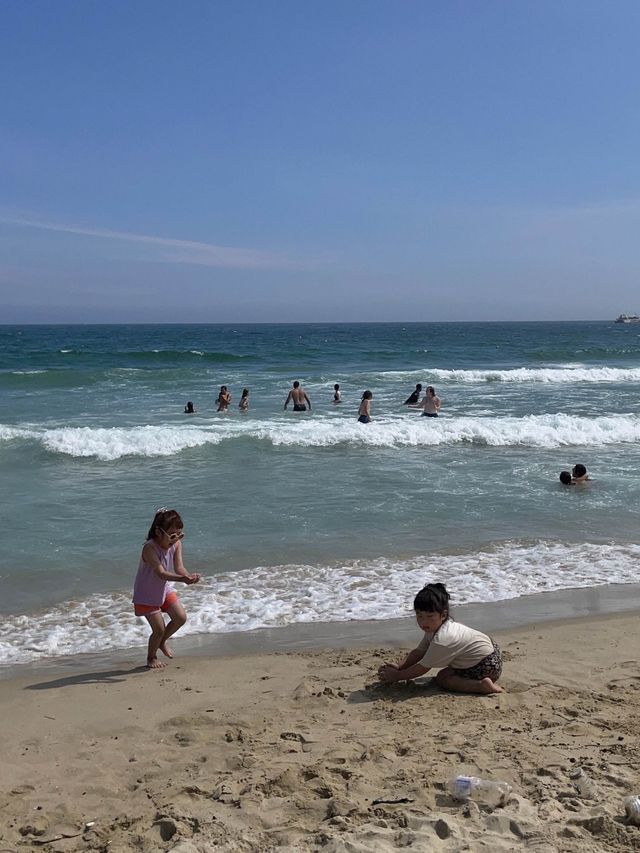 여름에 수영하기 좋은 ‘해운대 해수욕장’ 🌊