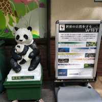 What to Eat in Ueno Zoo?