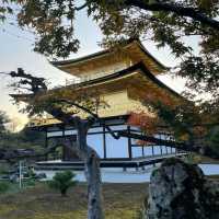 Kinkakuji - The Golden Pavilion of Kyoto
