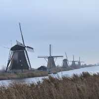 Windmills at Kinderdijk