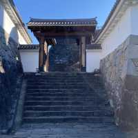 【甲府】甲府城跡