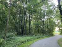 Beech Woodland Trail - Rocky Fork Metro Park