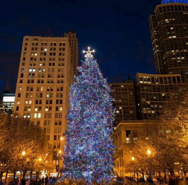 Millennium Park,Chicago