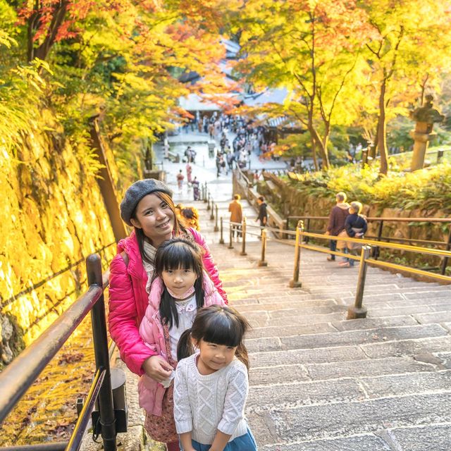京都旅遊必去！清水寺賞楓的日與夜