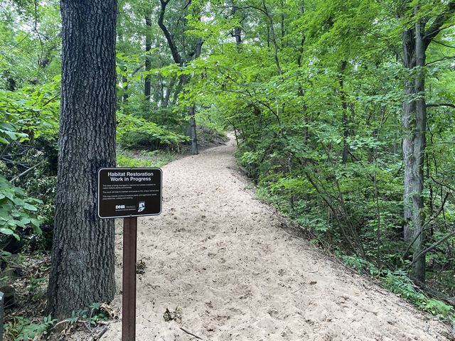 Indiana Dunes State Park 