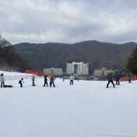 강원도 홍천 스키장🏂비발디파크 스키장