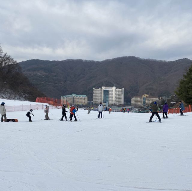 강원도 홍천 스키장🏂비발디파크 스키장
