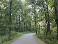 Beech Woodland Trail - Rocky Fork Metro Park