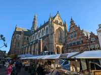 Don't waste sunshine ☀️ Weekend trip to Haarlem!