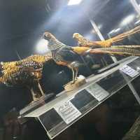 Amazing zooalogical museum 
