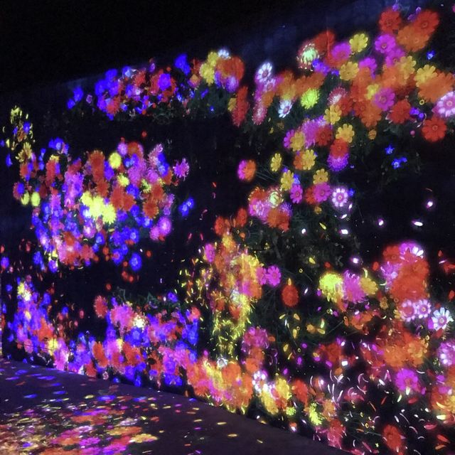 teamLab Borderless Shanghai✨