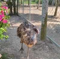 Swan Lake Animal Base, Haikou