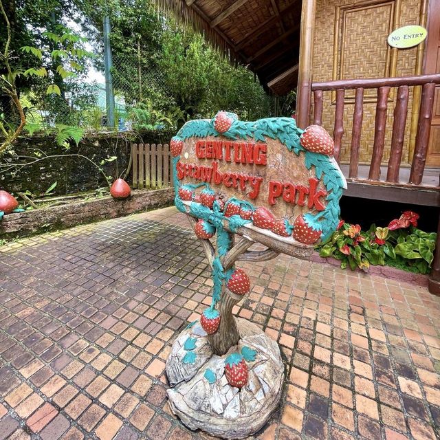 Genting Strawberry Leisure Farm - Malaysia 