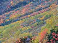 日本立山黑部阿爾卑斯山脈路線