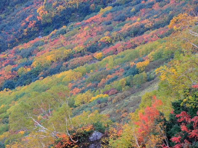 日本立山黑部阿爾卑斯山脈路線